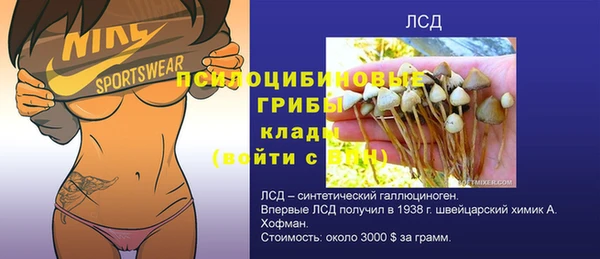 a pvp Балахна